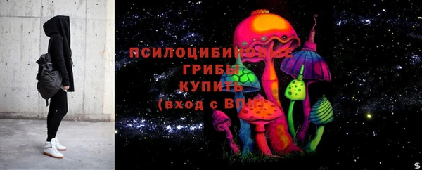круглые Аркадак