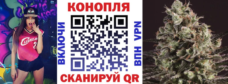 Конопля THC 21%  сколько стоит  Куйбышев 
